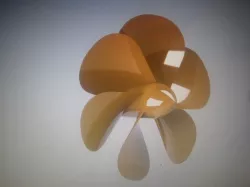 different projects 