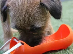 Dog Bowl Water Bottle Carrier