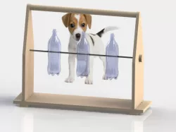 Dog toy