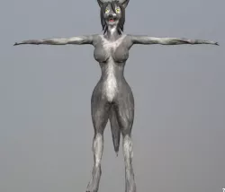 dracon85 Grey Werewolf Female Low-poly  3D model