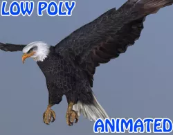 Eagle 3D Model - Animated Low-poly  3D model
