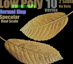 Fallen Leaf -  Game-Ready 3D Model Low-poly  3D model