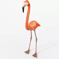 Flamingo Low-poly  3D model