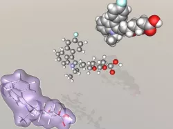 Fluvastatin molecule 3D model