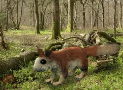 Giant Squirrel 3D model