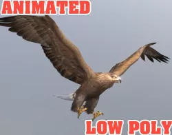 Golden Eagle 3D Model - Animated Low-poly  3D model