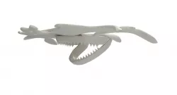 Hammerhead Shark Skull 3D model