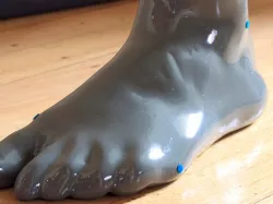 Human female left foot (added right foot)