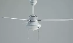 Hunter Merced Fan 3d Model 3D model