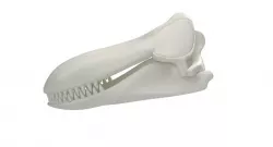 Killer Whale Orca Skull 3D model