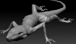 Lizard 3D model