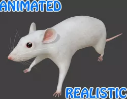 Mouse 3D Model Low-poly  3D model