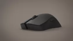 Mouse