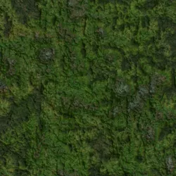 PBR nature grounds seamless textures Texture