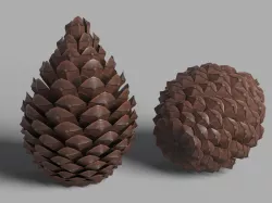 Pine Cone Low-poly  3D model