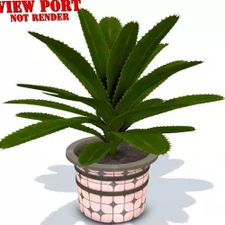 plant in pot - PBR  Game-Ready Low-poly  3D model