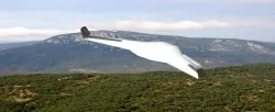 Real Flying Wing