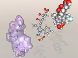 Rosuvastatin molecule 3D model