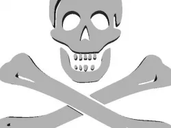 Skull and Bones (Jolly Roger)