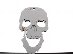 Skull emblem/pendant