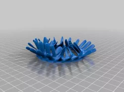 Spine Ring