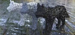 THREE WOLF
