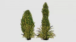 Tree V 3D model