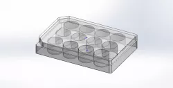 Twelve (12) well culture plate