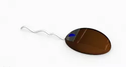 Usb Mouse