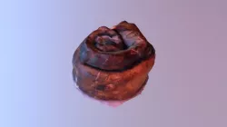 Cinnamon Roll
