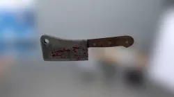 Cleaver