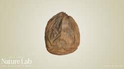 coconut flowerbiscuit internal temp 3D Models | Page 1 | STLFinder