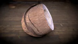 Coconut