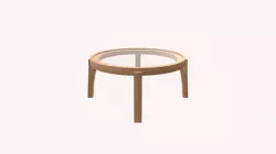 Coffee Table 2