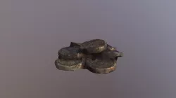 coins