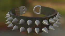 Collar