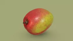 Colorful Mango