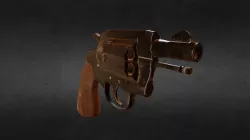 Colt detextive special