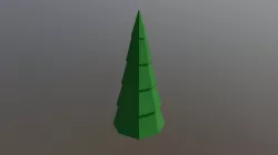 Conifer