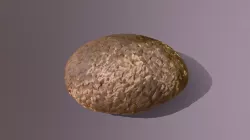 Cookie
