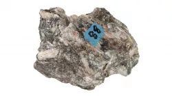Cordierite anthophyllite skarn #88 05-21