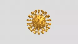 Corona Virus