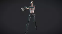 Cortex Cyborg