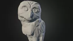 Coruja owl