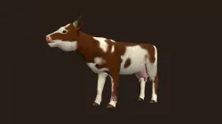 Cow