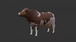 cow
