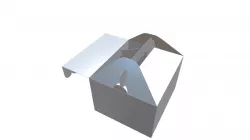 CP020