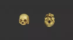 Cranio 108