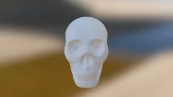 Cranio Cg 2