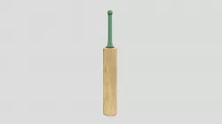Cricket Bat